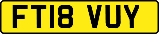 FT18VUY