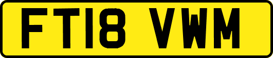 FT18VWM