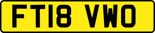 FT18VWO