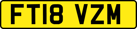 FT18VZM