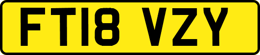 FT18VZY