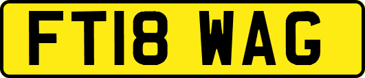 FT18WAG