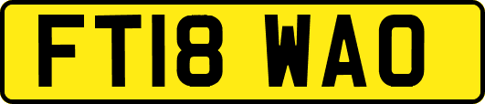 FT18WAO