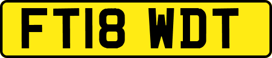 FT18WDT