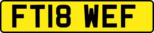 FT18WEF