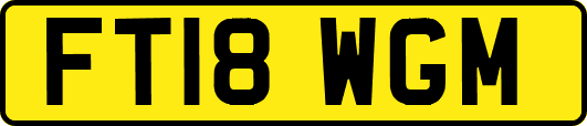 FT18WGM