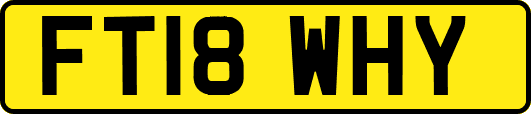 FT18WHY
