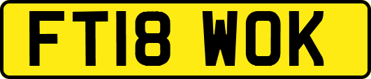 FT18WOK