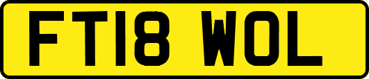 FT18WOL