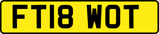 FT18WOT