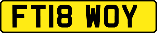 FT18WOY