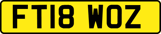 FT18WOZ