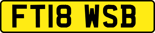FT18WSB