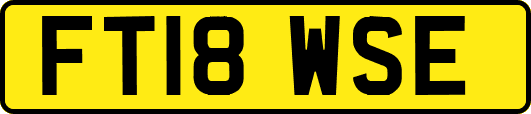 FT18WSE