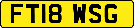 FT18WSG