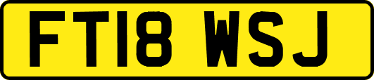 FT18WSJ