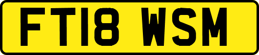 FT18WSM