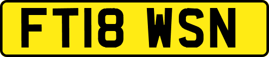 FT18WSN