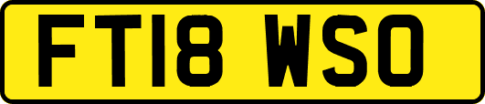 FT18WSO