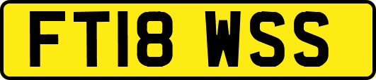 FT18WSS