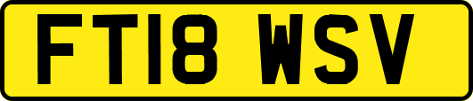 FT18WSV