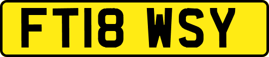 FT18WSY