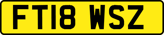 FT18WSZ