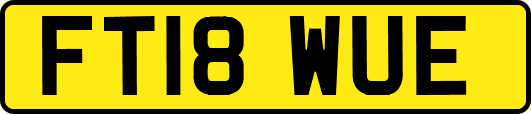FT18WUE