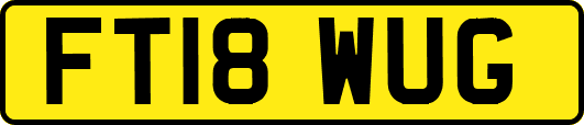 FT18WUG