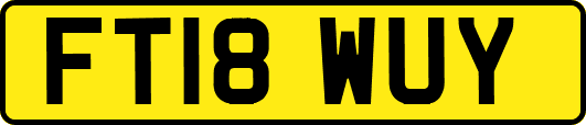 FT18WUY