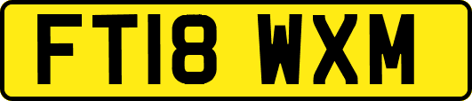 FT18WXM