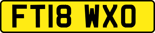 FT18WXO