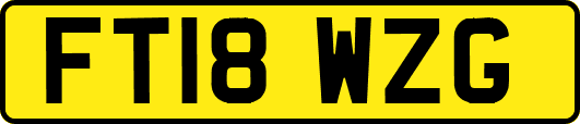 FT18WZG