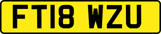 FT18WZU