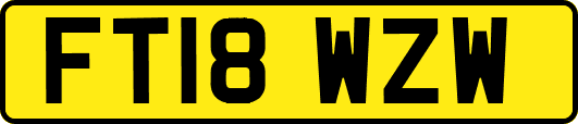 FT18WZW