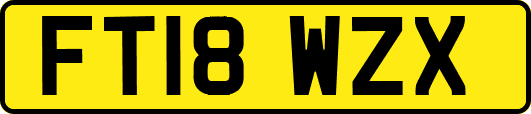 FT18WZX