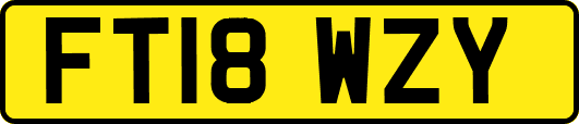 FT18WZY