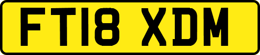 FT18XDM