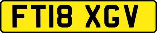 FT18XGV
