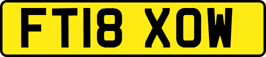 FT18XOW