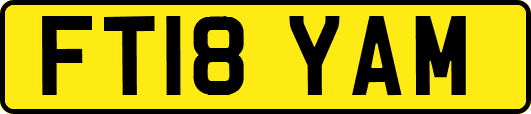 FT18YAM