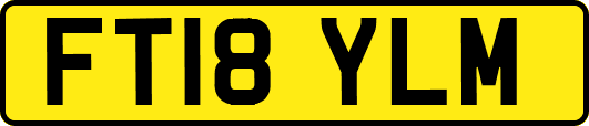 FT18YLM