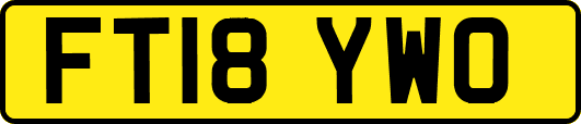 FT18YWO