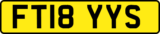 FT18YYS