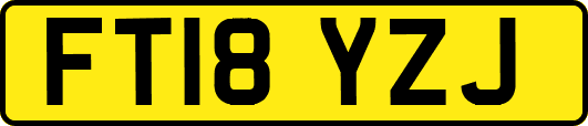 FT18YZJ