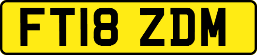 FT18ZDM