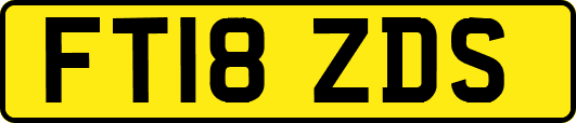 FT18ZDS