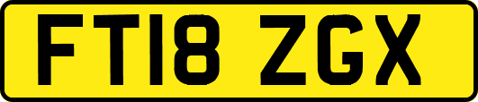 FT18ZGX