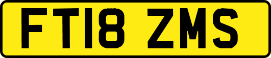 FT18ZMS