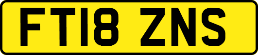 FT18ZNS